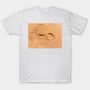 Desert aerial view T-Shirt